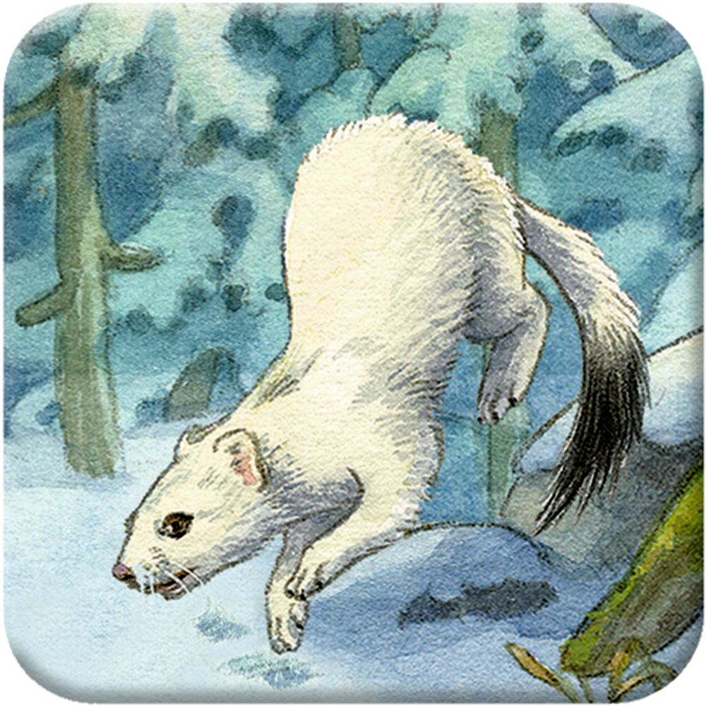 Die Tiere im Winterwald, Memo-Adventskalender
