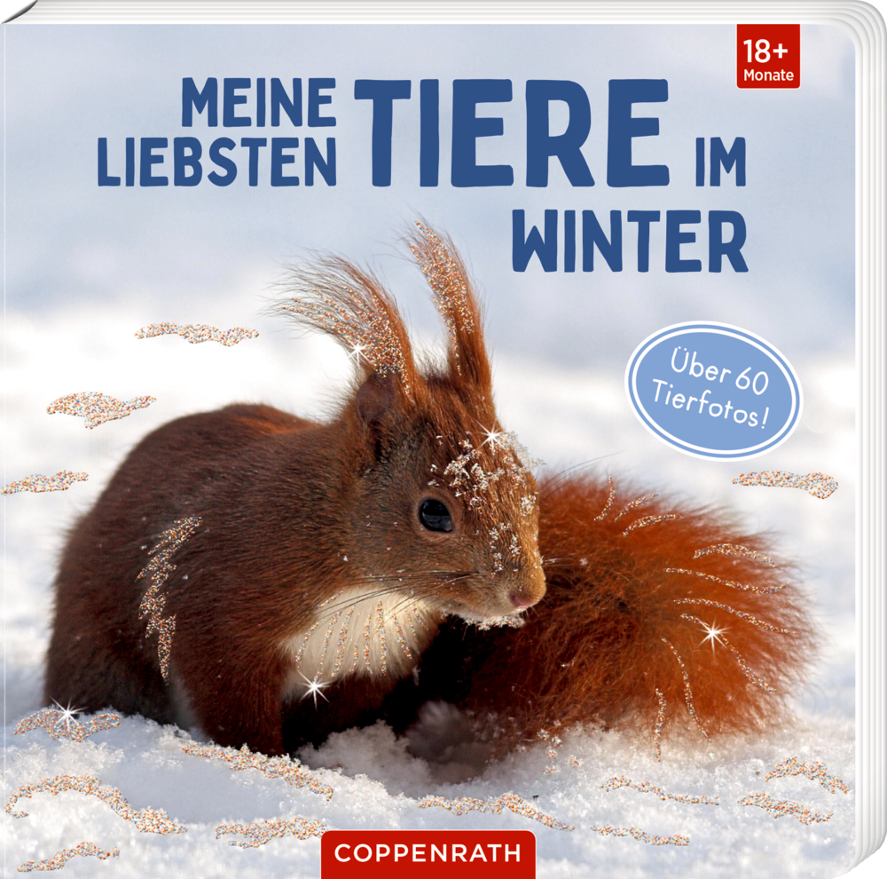 Kinderbuchcover mit einem roten, fotografierten Eichhörnchen im Schnee und dem Titel „Meine liebsten Tiere im Winter“.
