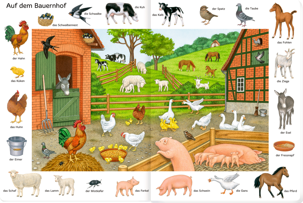 Bunte Bauernhofszene auf einer Innenansicht mit Kühen, Hühnern, Schweinen, Ziegen, Enten, Pferden und einer Katze.