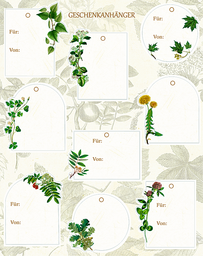 Botanische Geschenkanhänger mit den Feldern „Für:“ und „Von:“ auf einem floralen Vintage-Hintergrund.