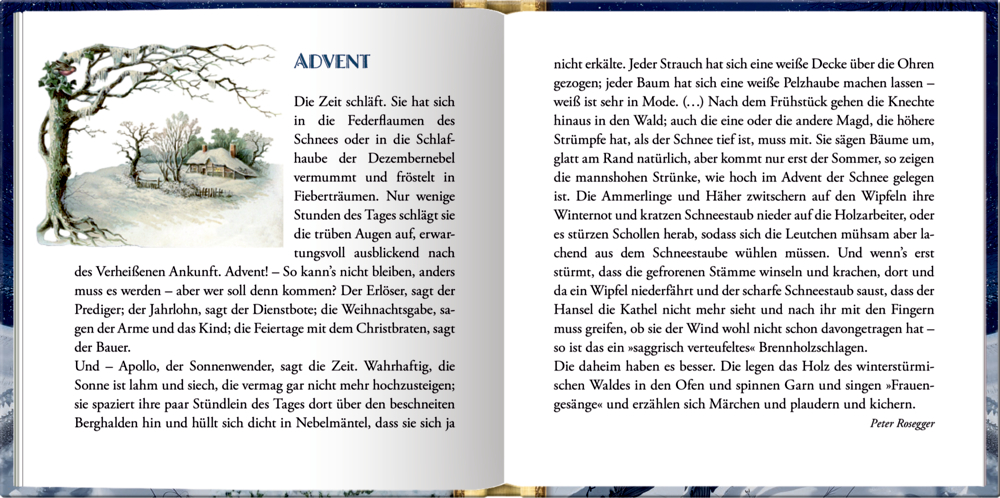 Raunächte und Winterzauber, Das kleine Adventsglück - Adventskalenderbuch (Behr)