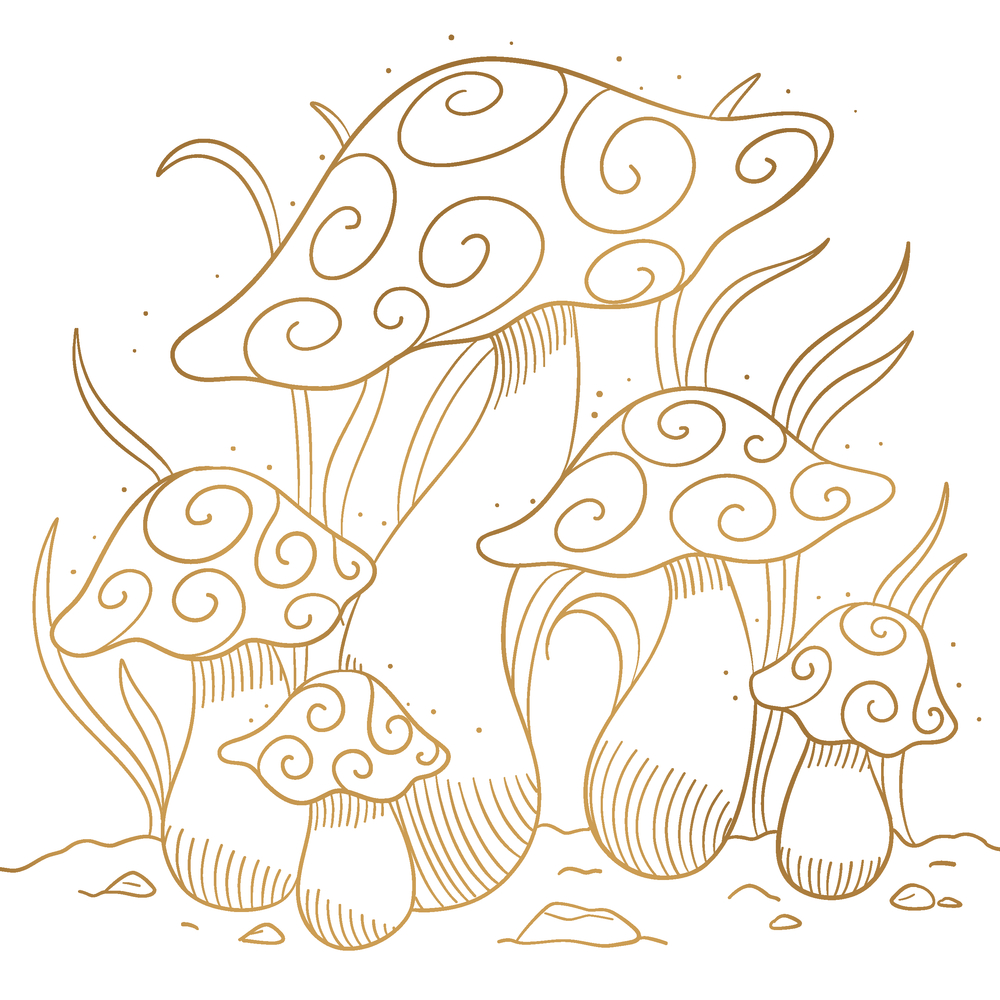 Illustration von fünf Pilzen mit spiralförmigen Mustern auf den Hüten und dekorativen Grashalmen.
