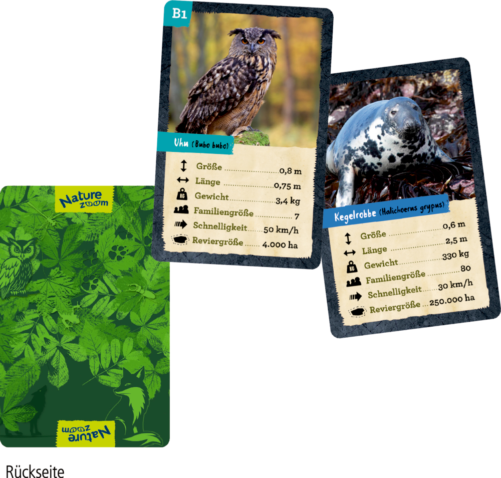 Drei Natur-Quizkarten, zwei mit Tierabbildungen von Uhu und Kegelrobbe, eine grüne Rückseite mit Tier- und Pflanzenmotiven.