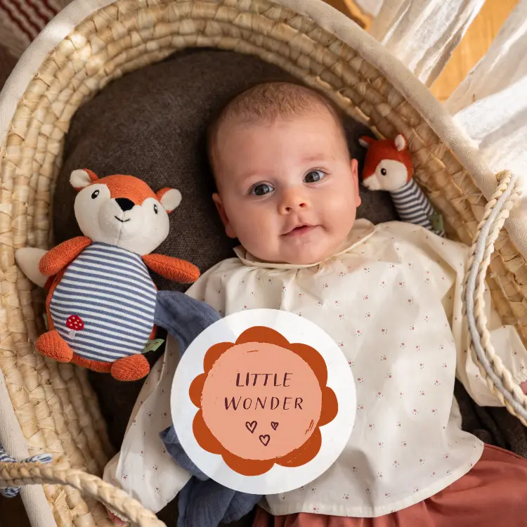 Banner Little Wonder Kind in einer Wiege mit Kuscheltieren