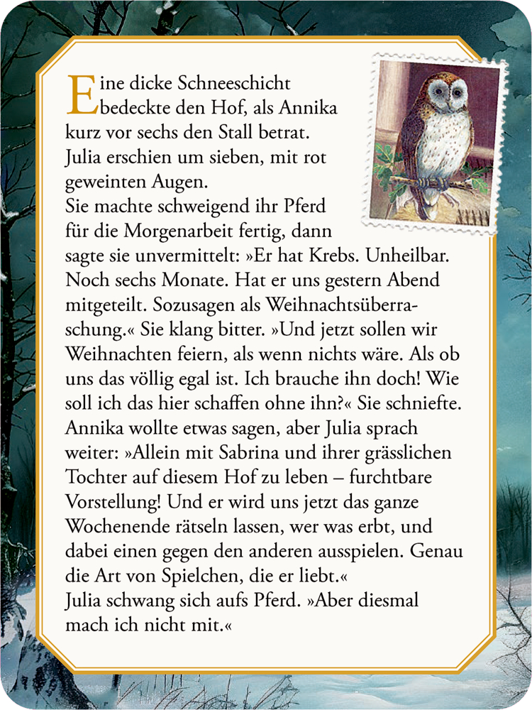 Drei Schüsse und ein Aschenbrödel, Krimi-Escape-Adventskalender-Spiel (Behr)