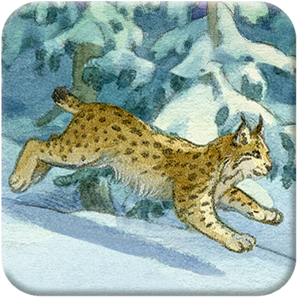 Die Tiere im Winterwald, Memo-Adventskalender