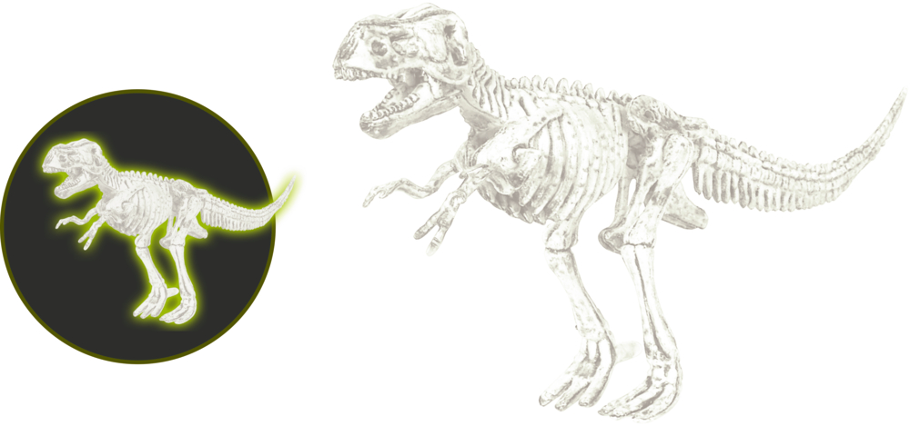 Pappschachtel mit einem T-Rex und einer nachtleuchtenden Variante aus Plastik.