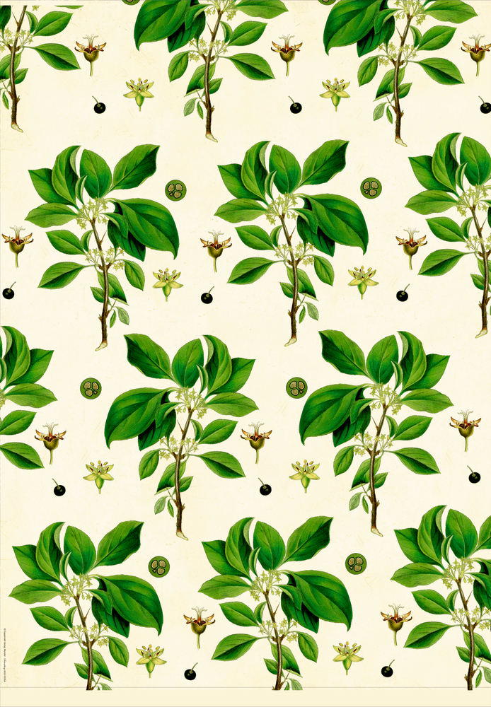 Geschenkpapierbogen: Grüne Zweige, Blüten und schwarze Beeren auf hellbeigem Hintergrund.