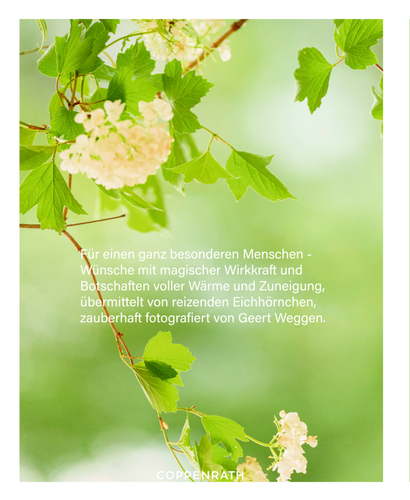 Zweig mit grünen Blättern und weißen Blüten vor unscharf grünem Hintergrund, darauf weißer Text und unten Logo „Coppenrath“.