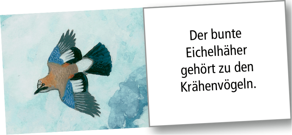 Wintertiere bei Nacht, Wand-Adventskalender