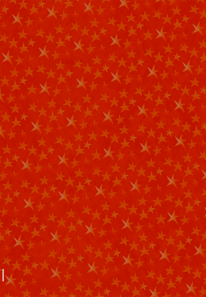 Geschenkpapier-Buch: Schöner schenken - Make a wish (Weihnachten)