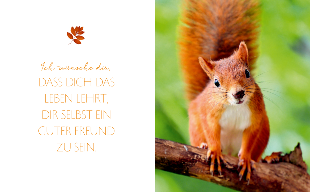 Rotes Eichhörnchen steht auf einem Ast, daneben Text mit einem kurzen Spruch in orangefarbener Schrift.
