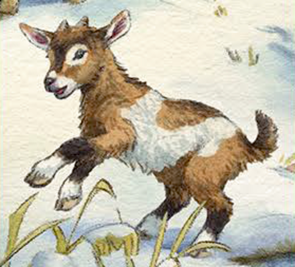 Unsere Tiere auf dem Land, Sound-Adventskalender
