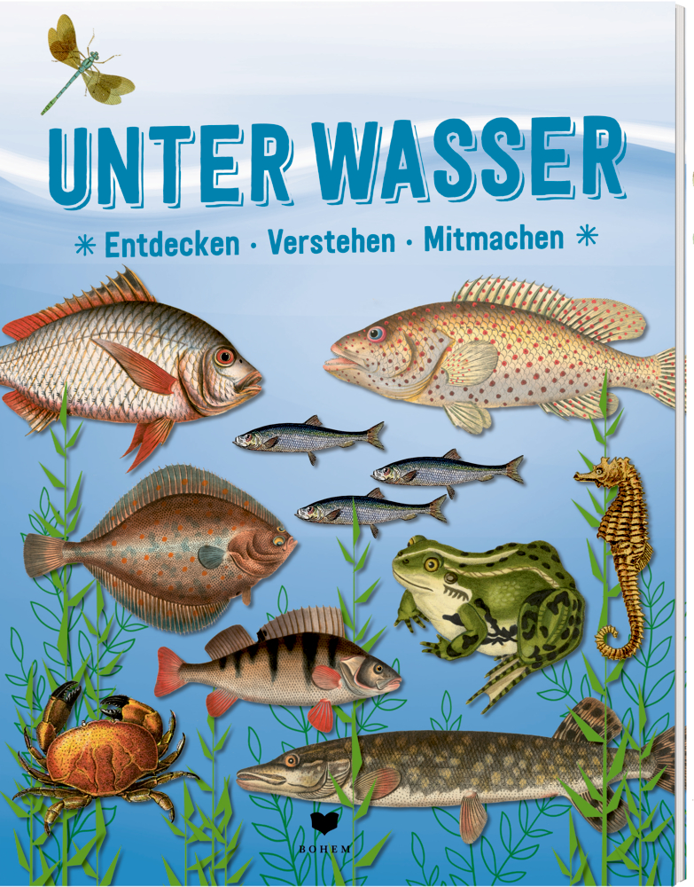Illustrierter Umschlag mit verschiedenen Unterwasserfischen, Wasserpflanzen und dem Titel „Unter Wasser.