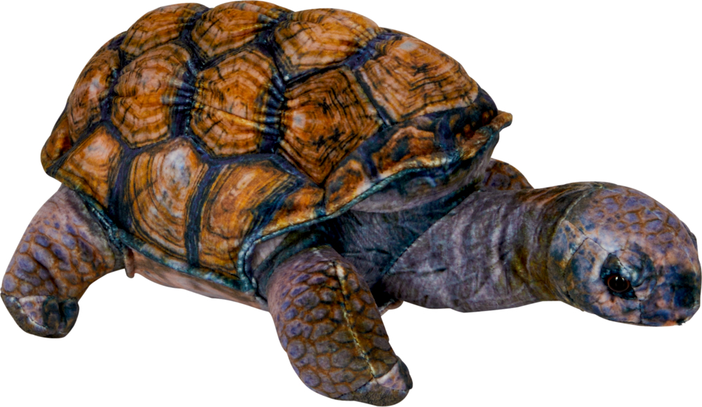 Plüsch-Schildkrötenspielzeug mit braun gemustertem Panzer und weichen, strukturierten Gliedmaßen.